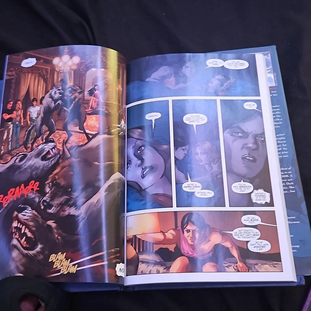 Two books - Picture 4 of 4
